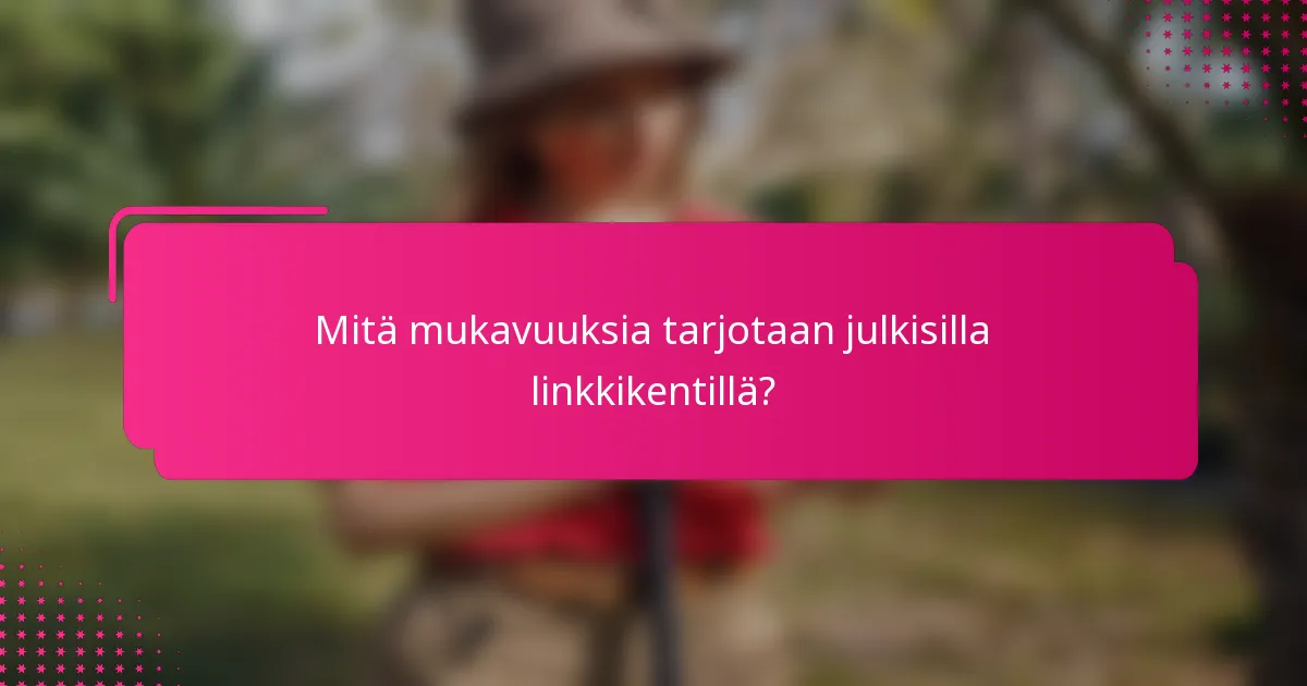 Mitä mukavuuksia tarjotaan julkisilla linkkikentillä?